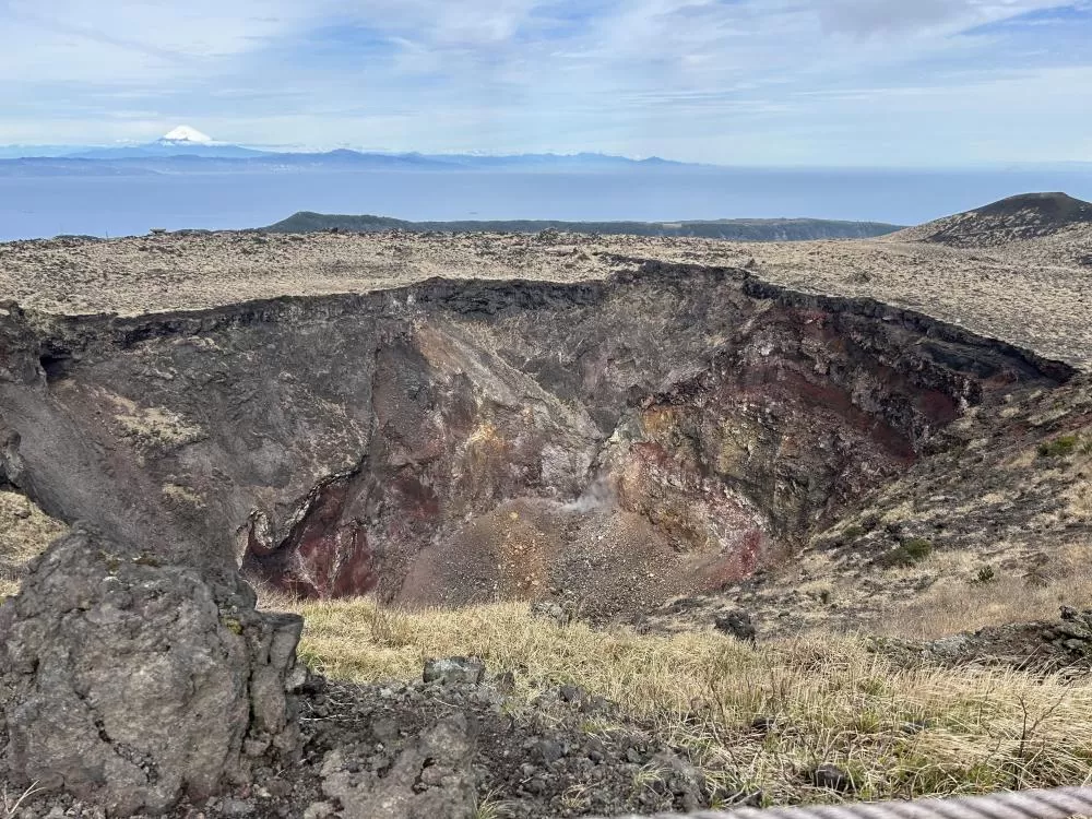 (キャプション自動取得対象外)