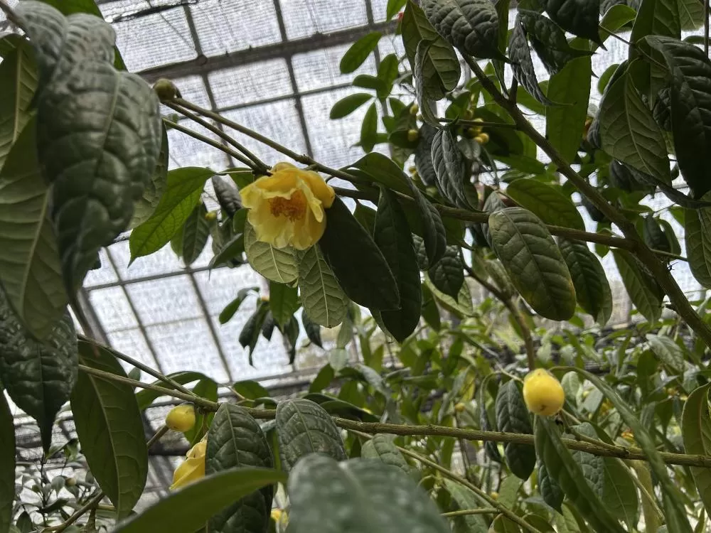 (キャプション自動取得対象外)