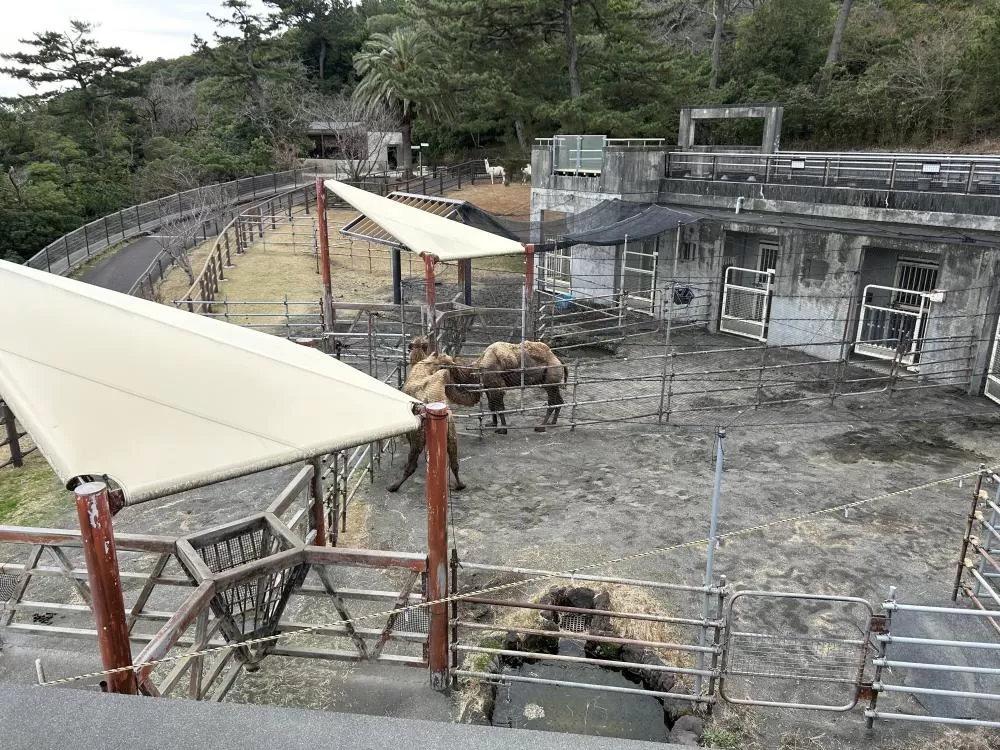 (キャプション自動取得対象外)